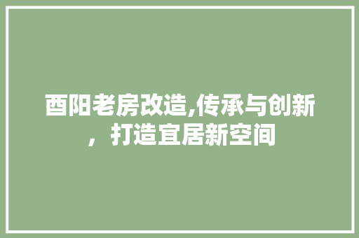 酉阳老房改造,传承与创新，打造宜居新空间