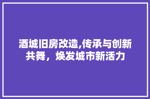 酒城旧房改造,传承与创新共舞，焕发城市新活力