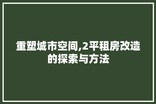 重塑城市空间,2平租房改造的探索与方法