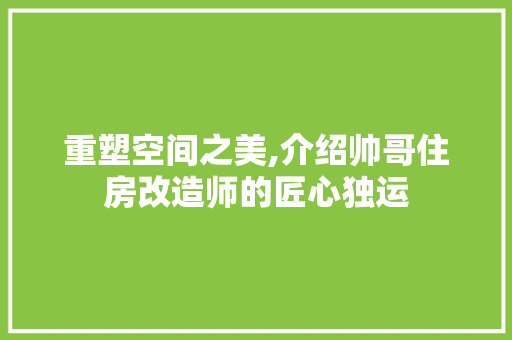 重塑空间之美,介绍帅哥住房改造师的匠心独运