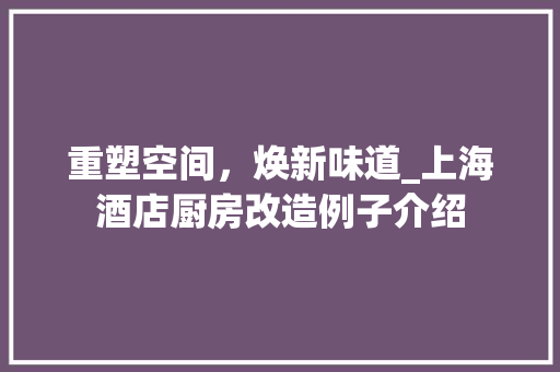 重塑空间，焕新味道_上海酒店厨房改造例子介绍