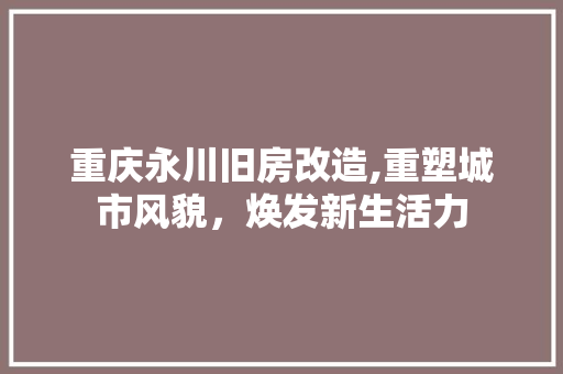 重庆永川旧房改造,重塑城市风貌，焕发新生活力