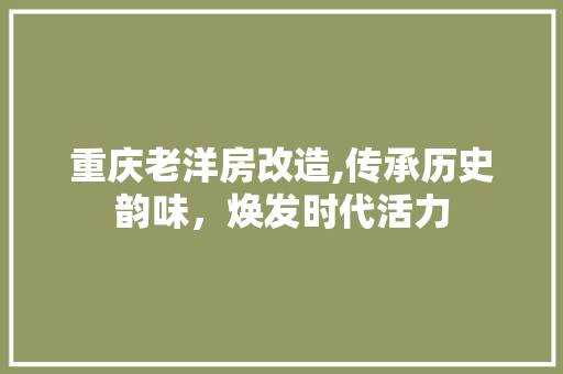 重庆老洋房改造,传承历史韵味，焕发时代活力