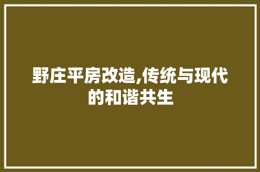 野庄平房改造,传统与现代的和谐共生
