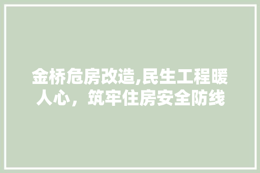 金桥危房改造,民生工程暖人心，筑牢住房安全防线