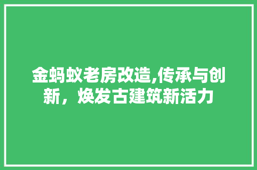 金蚂蚁老房改造,传承与创新，焕发古建筑新活力