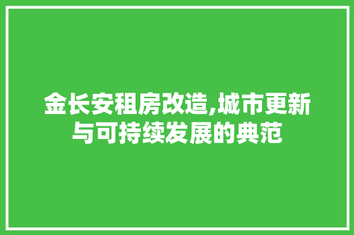 金长安租房改造,城市更新与可持续发展的典范