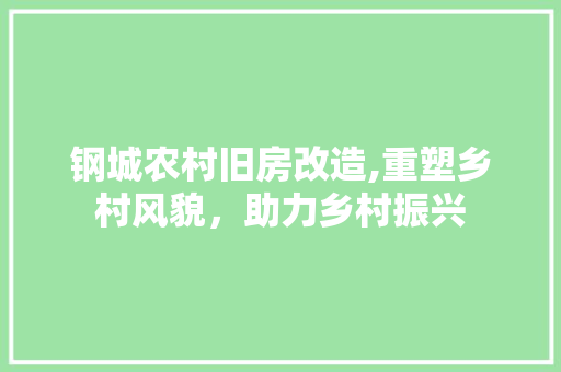 钢城农村旧房改造,重塑乡村风貌，助力乡村振兴