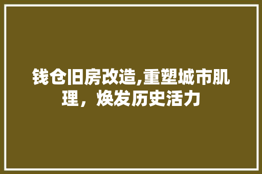 钱仓旧房改造,重塑城市肌理，焕发历史活力