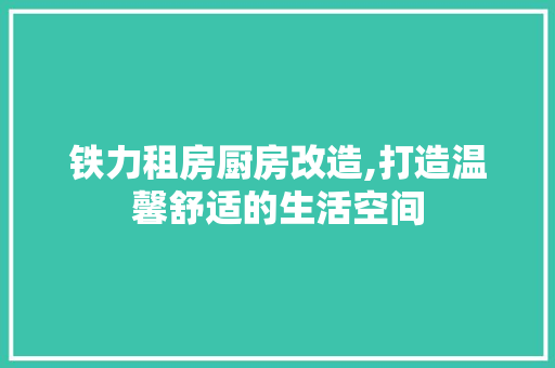 铁力租房厨房改造,打造温馨舒适的生活空间