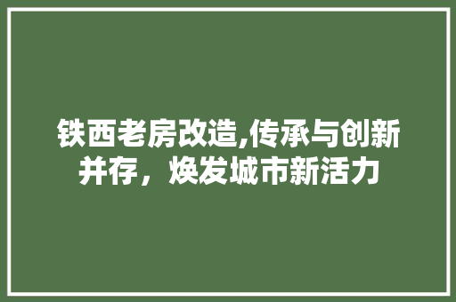 铁西老房改造,传承与创新并存，焕发城市新活力