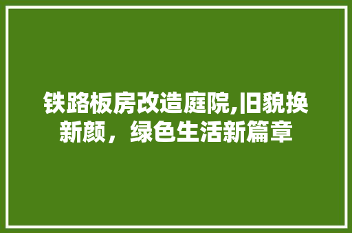 铁路板房改造庭院,旧貌换新颜，绿色生活新篇章