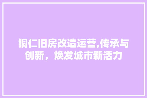 铜仁旧房改造运营,传承与创新，焕发城市新活力