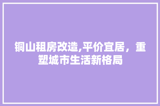 铜山租房改造,平价宜居，重塑城市生活新格局