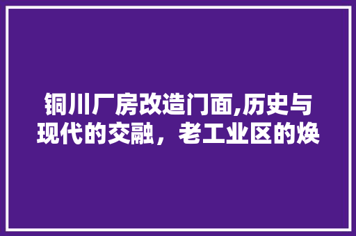 铜川厂房改造门面,历史与现代的交融，老工业区的焕新之路