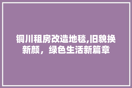 铜川租房改造地毯,旧貌换新颜，绿色生活新篇章