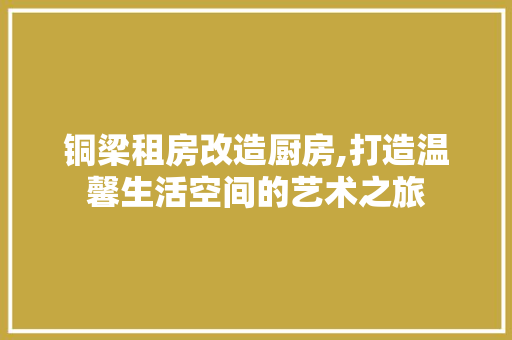 铜梁租房改造厨房,打造温馨生活空间的艺术之旅