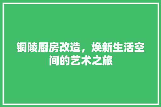 铜陵厨房改造，焕新生活空间的艺术之旅