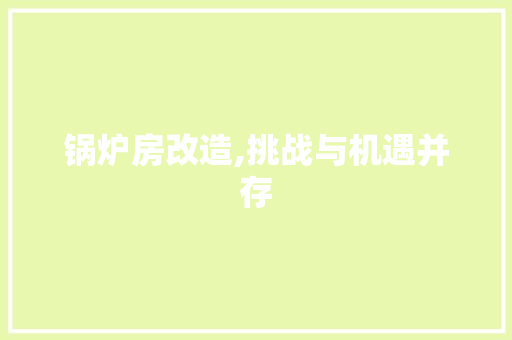 锅炉房改造,挑战与机遇并存