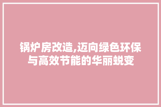 锅炉房改造,迈向绿色环保与高效节能的华丽蜕变