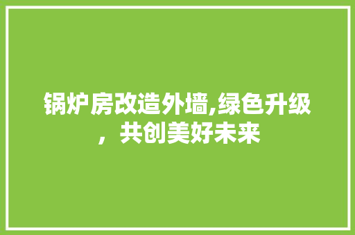 锅炉房改造外墙,绿色升级，共创美好未来