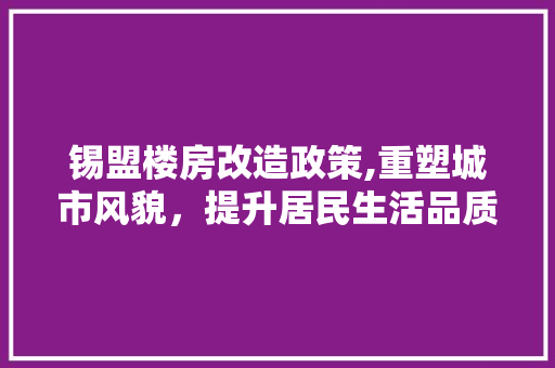 锡盟楼房改造政策,重塑城市风貌，提升居民生活品质