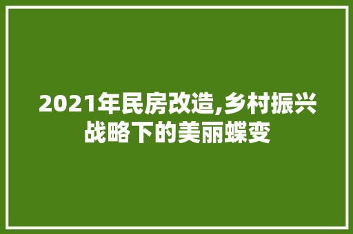 2021年民房改造,乡村振兴战略下的美丽蝶变