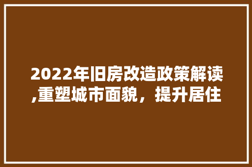 2022年旧房改造政策解读,重塑城市面貌，提升居住品质
