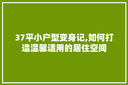 37平小户型变身记,如何打造温馨适用的居住空间