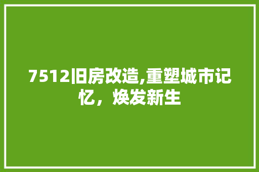 7512旧房改造,重塑城市记忆，焕发新生