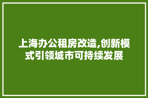 上海办公租房改造,创新模式引领城市可持续发展
