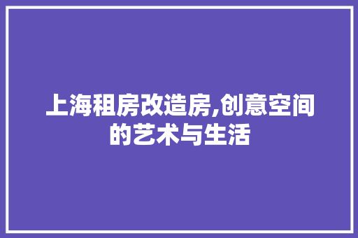 上海租房改造房,创意空间的艺术与生活