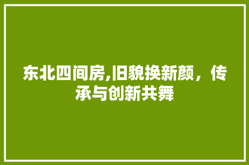 东北四间房,旧貌换新颜，传承与创新共舞