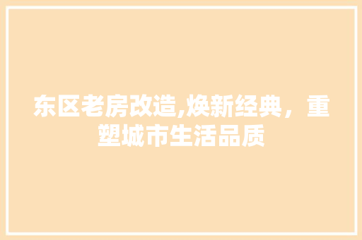 东区老房改造,焕新经典，重塑城市生活品质