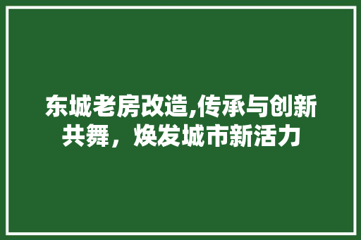 东城老房改造,传承与创新共舞，焕发城市新活力