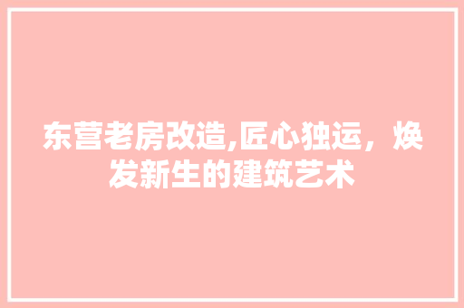 东营老房改造,匠心独运，焕发新生的建筑艺术