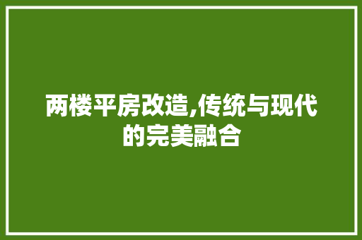 两楼平房改造,传统与现代的完美融合