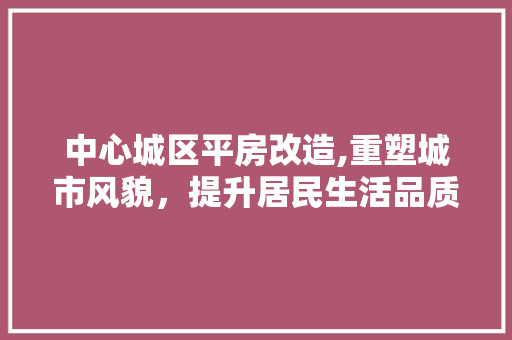 中心城区平房改造,重塑城市风貌，提升居民生活品质