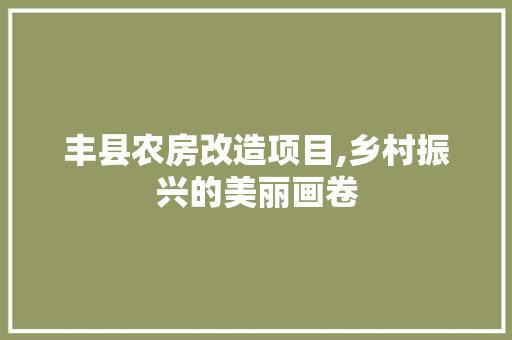 丰县农房改造项目,乡村振兴的美丽画卷