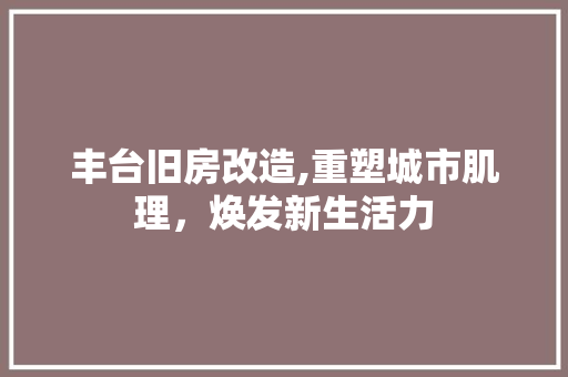 丰台旧房改造,重塑城市肌理，焕发新生活力