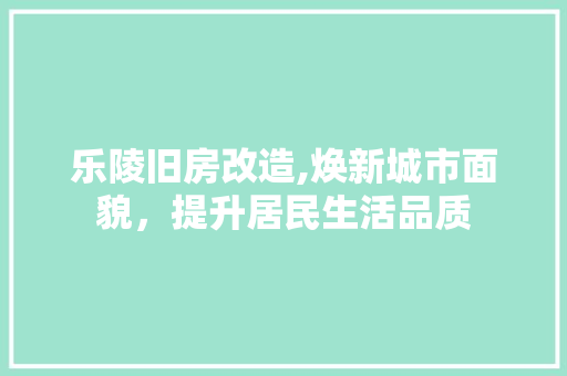 乐陵旧房改造,焕新城市面貌，提升居民生活品质