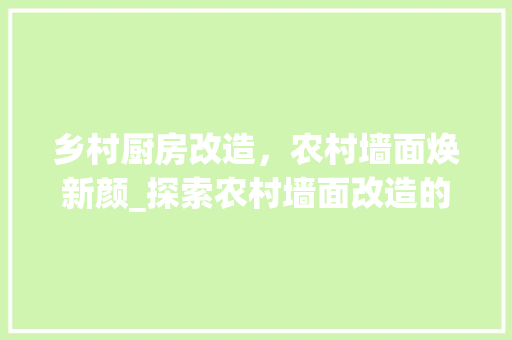 乡村厨房改造，农村墙面焕新颜_探索农村墙面改造的新路径