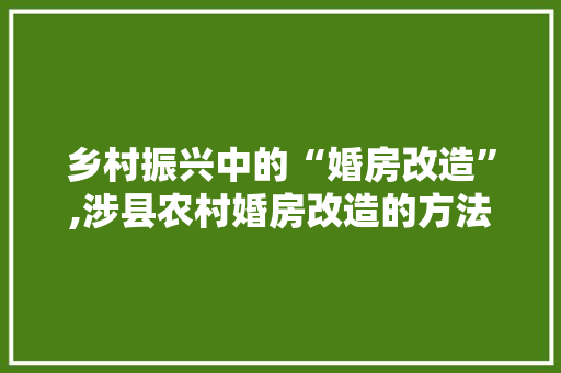 乡村振兴中的“婚房改造”,涉县农村婚房改造的方法与启示