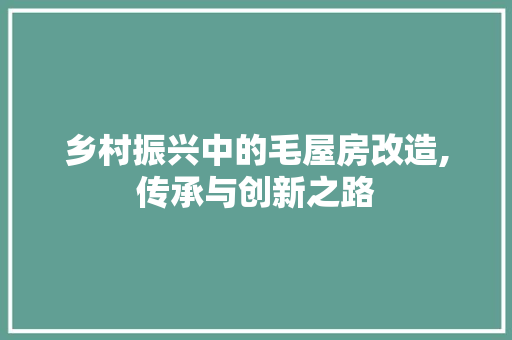 乡村振兴中的毛屋房改造,传承与创新之路