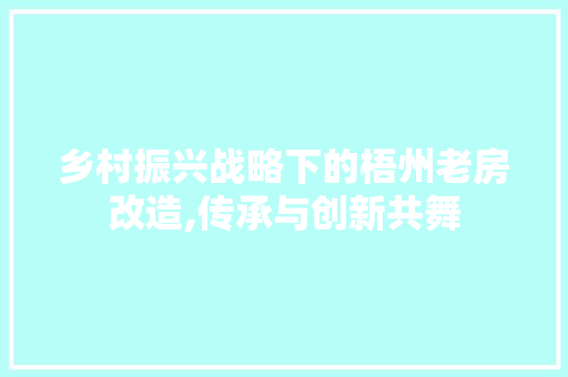 乡村振兴战略下的梧州老房改造,传承与创新共舞