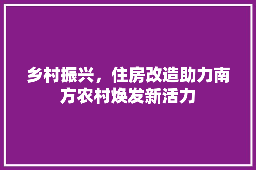 乡村振兴，住房改造助力南方农村焕发新活力