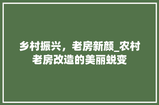乡村振兴，老房新颜_农村老房改造的美丽蜕变