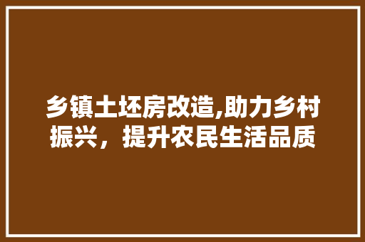 乡镇土坯房改造,助力乡村振兴，提升农民生活品质