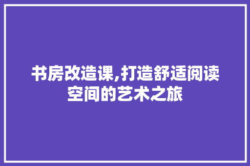 书房改造课,打造舒适阅读空间的艺术之旅