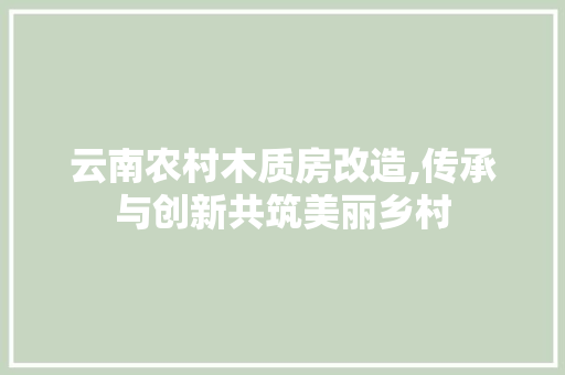 云南农村木质房改造,传承与创新共筑美丽乡村